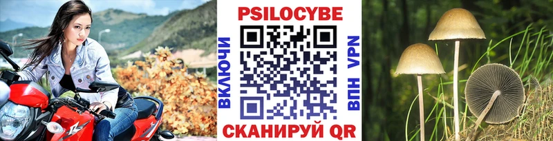 магазин  наркотиков  гидра ССЫЛКА  Псилоцибиновые грибы GOLDEN TEACHER  Лобня 