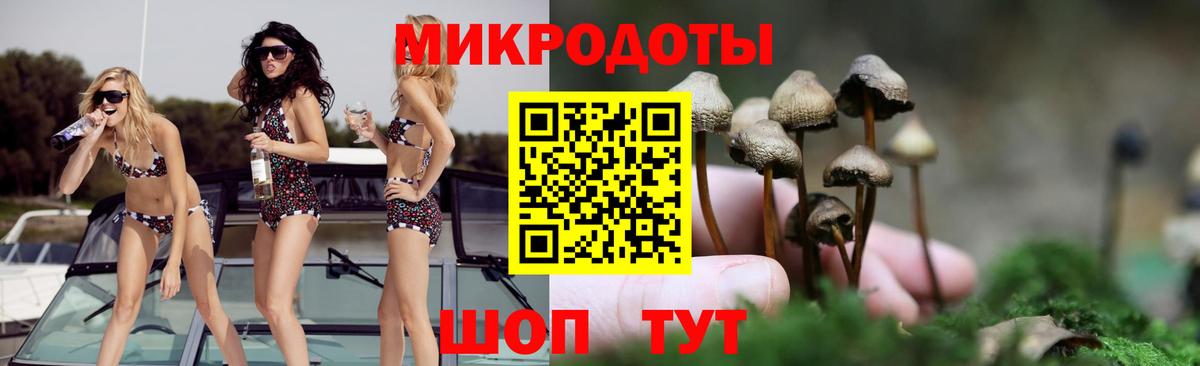 Галлюциногенные грибы MAGIC MUSHROOMS  магазин продажи наркотиков  Лобня  Вход с VPN 
